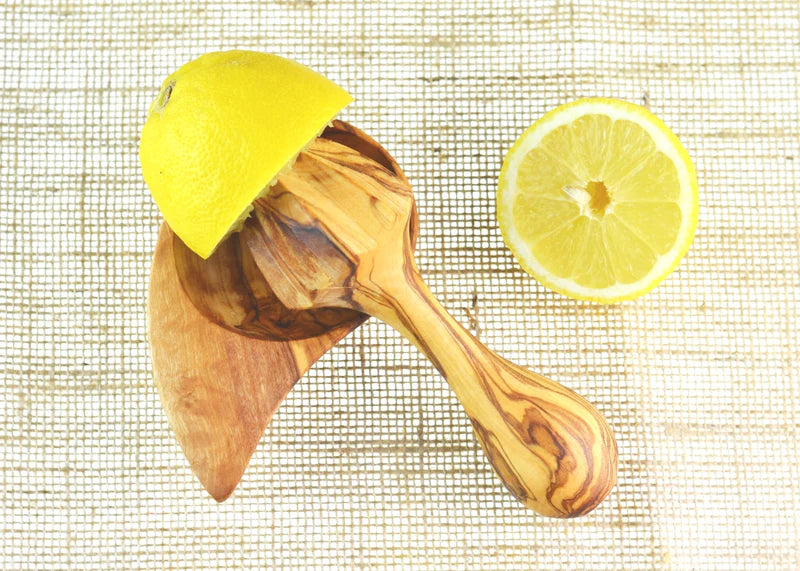 1 Section Shell Serving Dish